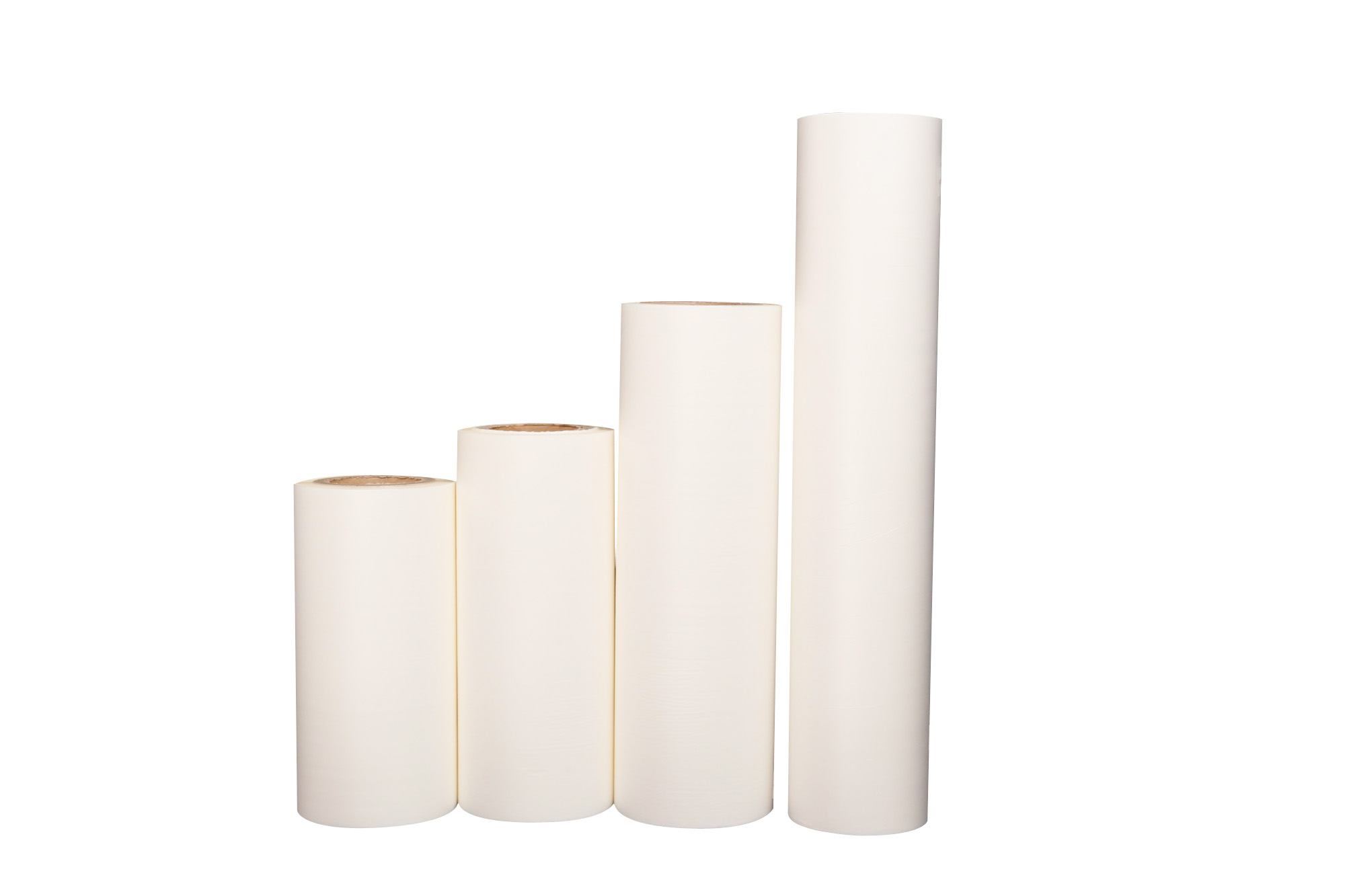 film pour animaux de compagnie