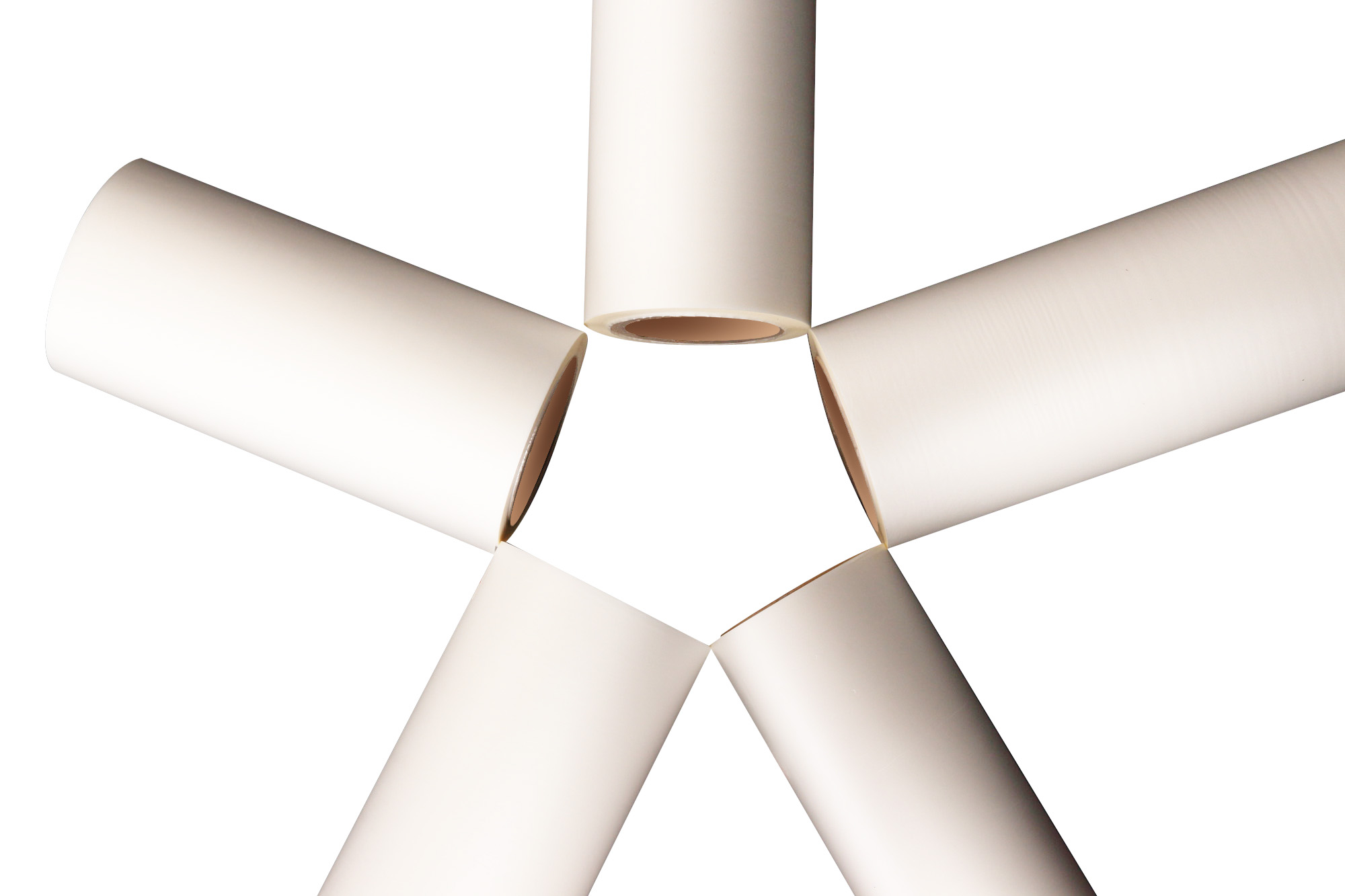 film froid pour animaux de compagnie