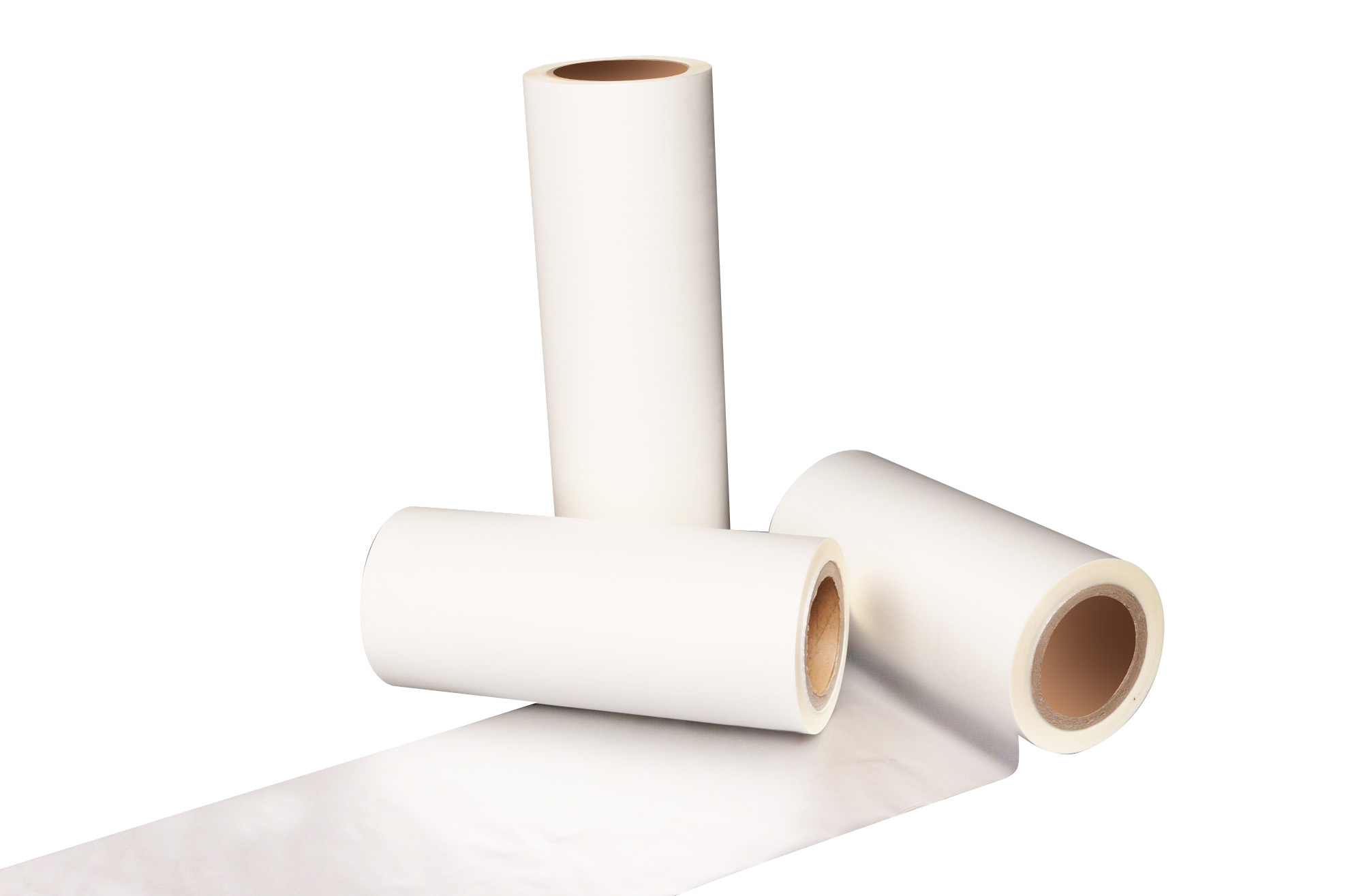 films thermiques pour animaux de compagnie